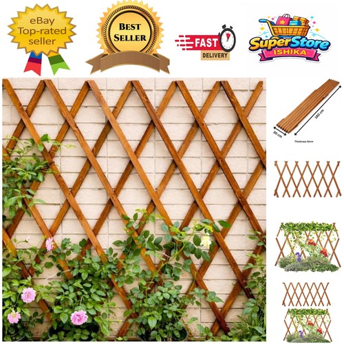 Pack expandable wooden - 2,