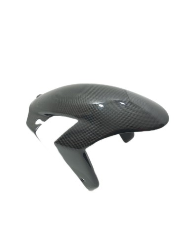 Front fender cover 100 - front,