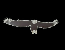 JAYCO EAGLE RV CAMPER TEARDROP CARGO BOX TRAILER DECAL