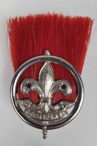 Boy scout assistant - boy,