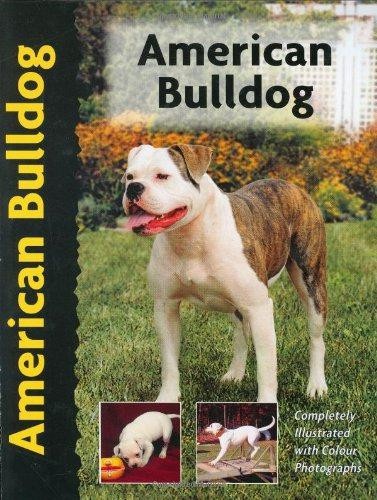 American bulldog - love, s.)