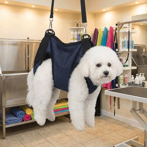 Dog sling harness puppy - dog,