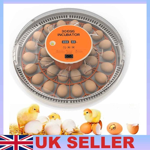 30egg incubator egg candler - 30egg,