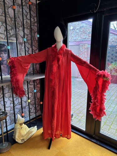 Red feather boa - feather, coat