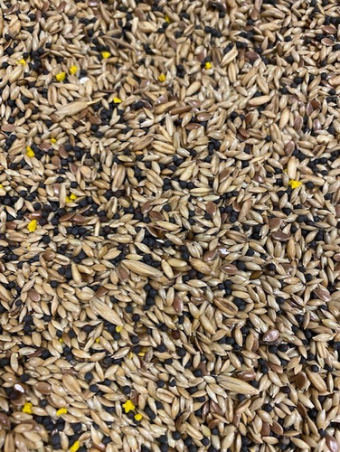 Canary food mixed - canary,