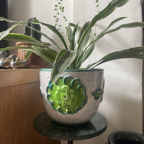 Vintage german italian plant - vintage, /