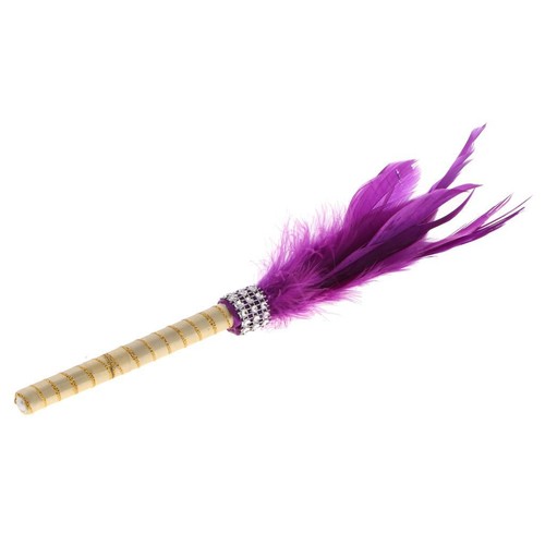 Romantic feather sign - feather, pen