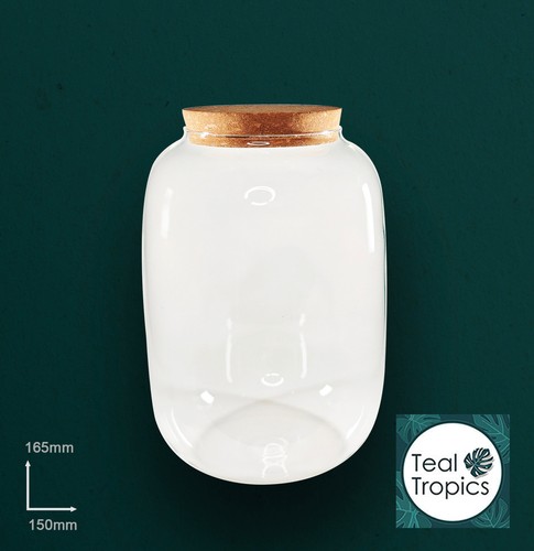 Clear terrarium glass - clear, jar