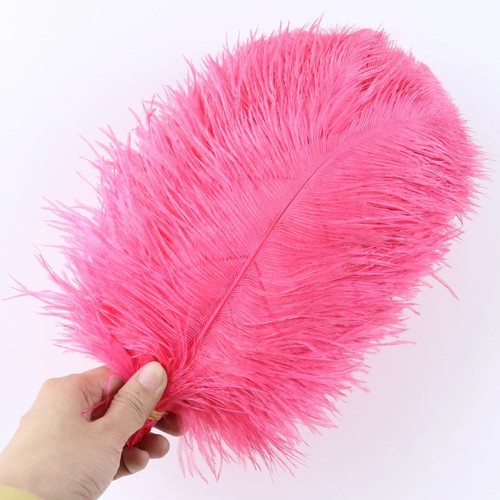 10pcs large ostrich feathers - 10pcs,