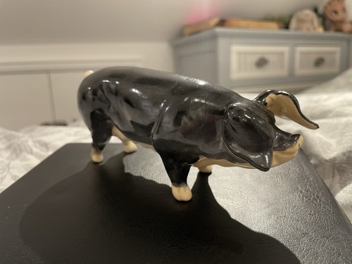 Collectable acorn ceramic pig - collectable,