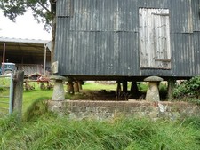 Photo A3 Staddle Stone supports for old granary barn at Chithurst Farm  c2011