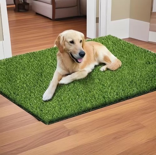 Pet dog toilet mat - dog,