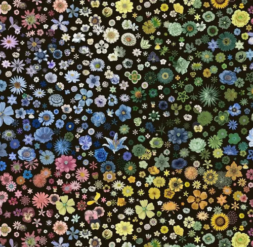 Designers guild fabric jardin - designers,