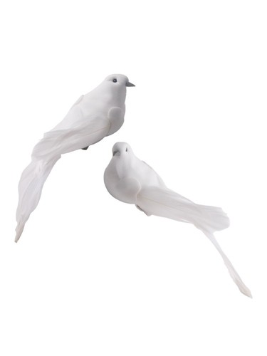 Artificial white feather doves - feather,