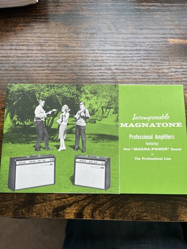 Vintage magnatone electric - vintage,
