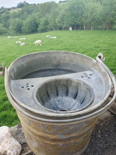 Vintage mop bucket - vintage,