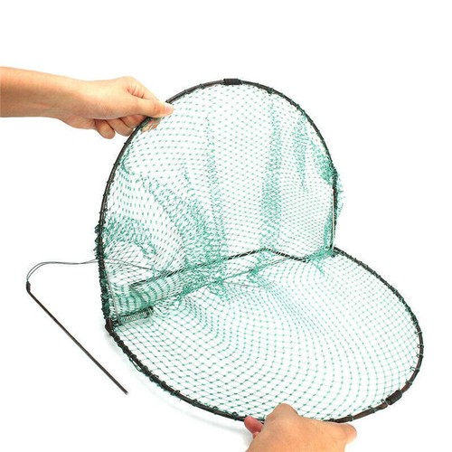 Catching bird trap mesh - trap, steel