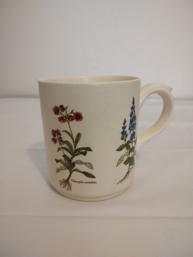 Vintage poole country lane - lane, mug