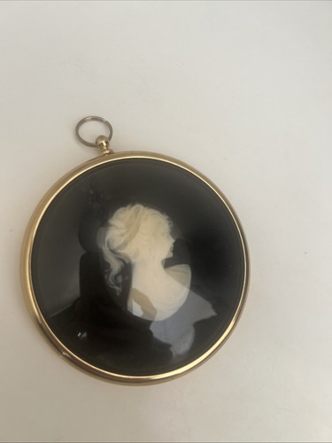 Lady cameo from the - lady,