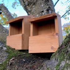 Wildlife Wooden Bird House