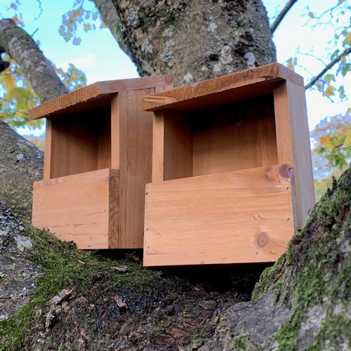 Wildlife wooden bird house - wildlife,