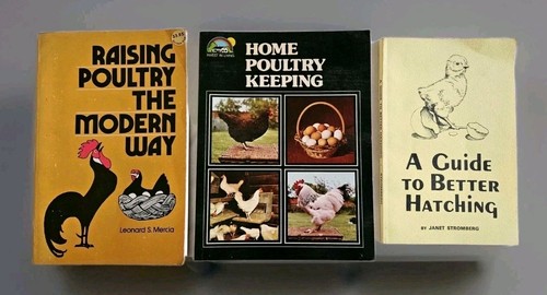 Raising poultry better - poultry,,