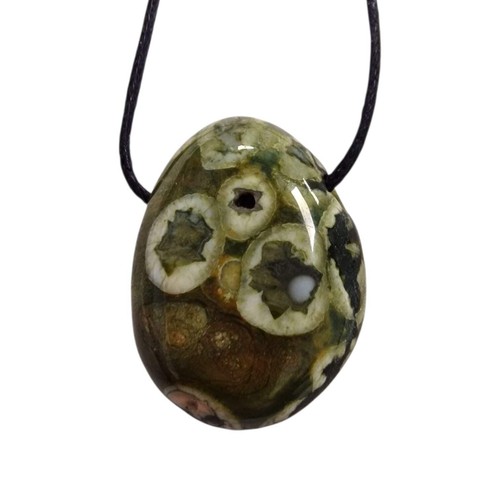 Rainforest rhyolite drilled - rainforest,