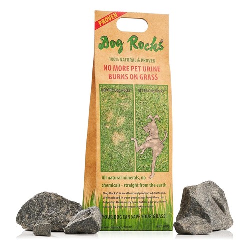 Dog rocks urine - rocks,