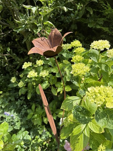 Tall rusty metal - lily, garden