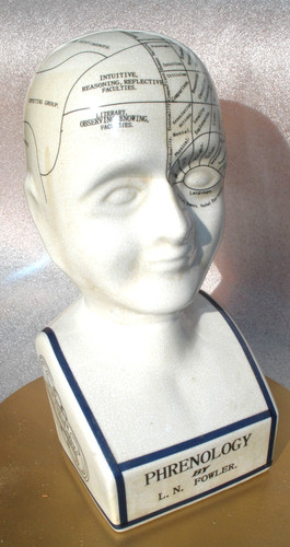 Phrenology head fowler - head, l.n