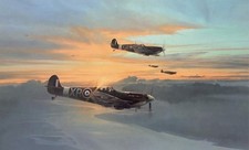 Eagle Force Signed Robert