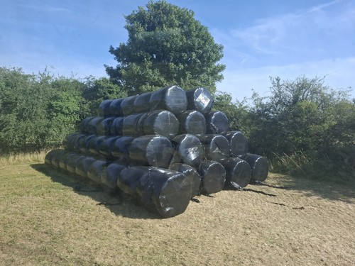 Round bale silage - bale, 2026