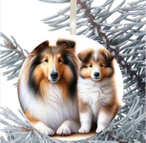 Rough collie hanging - rough,