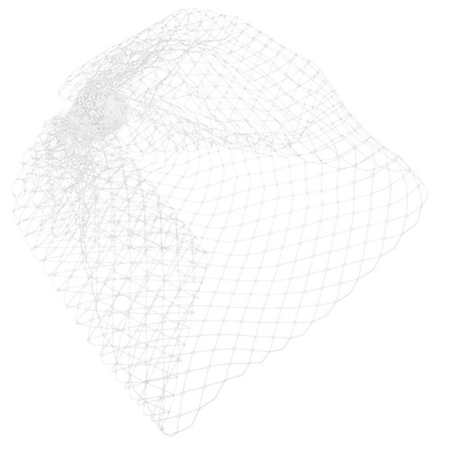 Birdcage veil wedding bride - wedding,