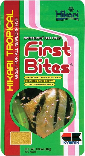 Hikari baby fish first - baby, bite