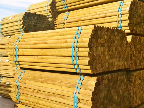 60mm dia round pointed - 1.5m,