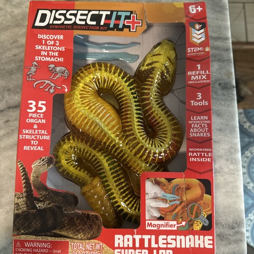 Stem2024 dissect piece - it,