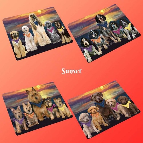 Family sunset dog cat - sunset,