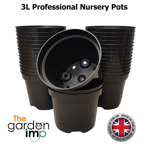 Plant pots black - plant, plastic