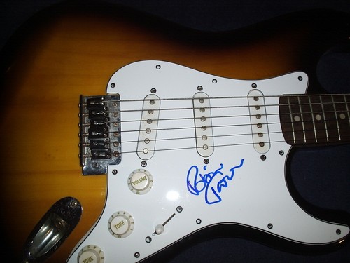 Robin trower procal - trower,