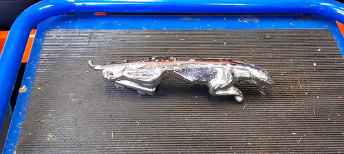 Jaguar leaping cat large - cat,