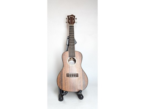 Octopus solid acacia - octopus,