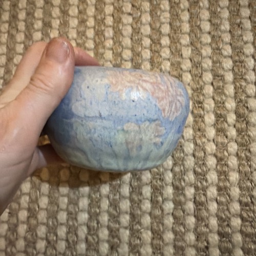Small welsh conwy - small, studio