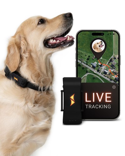 Paj gps pet finder - -,