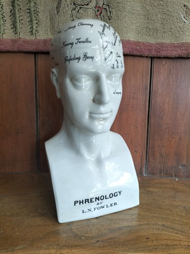 Very handsome phrenological - handsome,