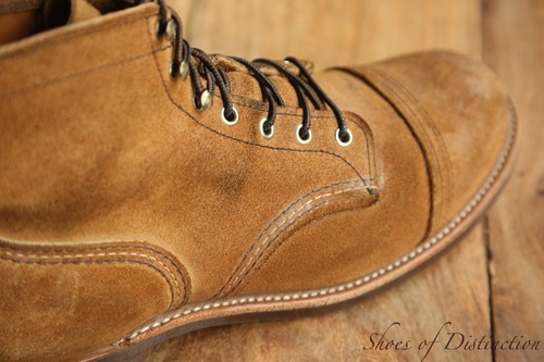 Redwing red wing - wing, 8083