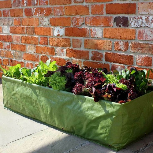 Haxnicks multi purpose - multi-purpose, grow