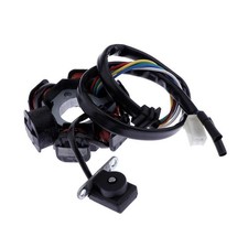 6 Coil Pole Magneto Flywheel