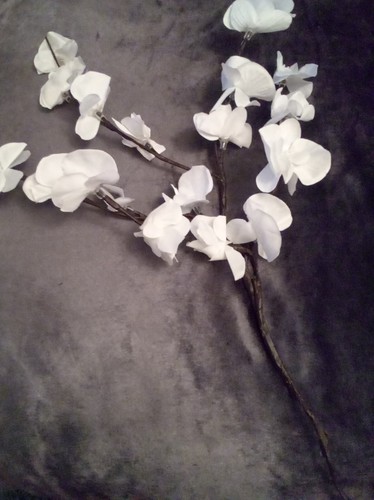 20pcs white faux - 20pcs,