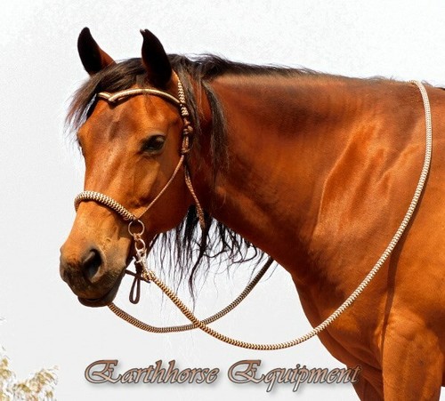 Earthhorse equipment brow - earthhorse,